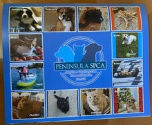 Load image into Gallery viewer, 2026 Pet Photo Calendar
