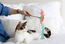 Load image into Gallery viewer, Koi Cat Teaser Wand
