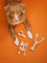 Load image into Gallery viewer, BetterBone HARD -Durable, All-Natural, No Nylon, Sustainable: Beef / Large (dogs over 25 lbs)
