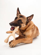 Load image into Gallery viewer, BetterBone HARD -Durable, All-Natural, No Nylon, Sustainable: Beef / Large (dogs over 25 lbs)
