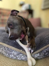 Load image into Gallery viewer, BetterBone HARD -Durable, All-Natural, No Nylon, Sustainable: Beef / Large (dogs over 25 lbs)
