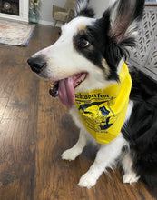 Load image into Gallery viewer, 2022 Barktoberfest Bandana
